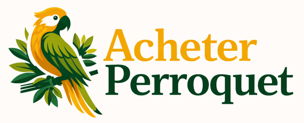 Acheter Un Perroquet